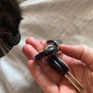 Cyndrilical/Round Storage lock - 3 keys included!